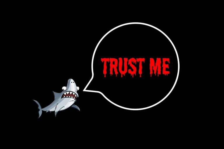 Read more about the article Online Business Trust Issues